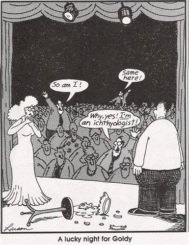 A Lucky Night for Goldy