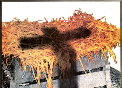 Manger & Shadow of the Cross